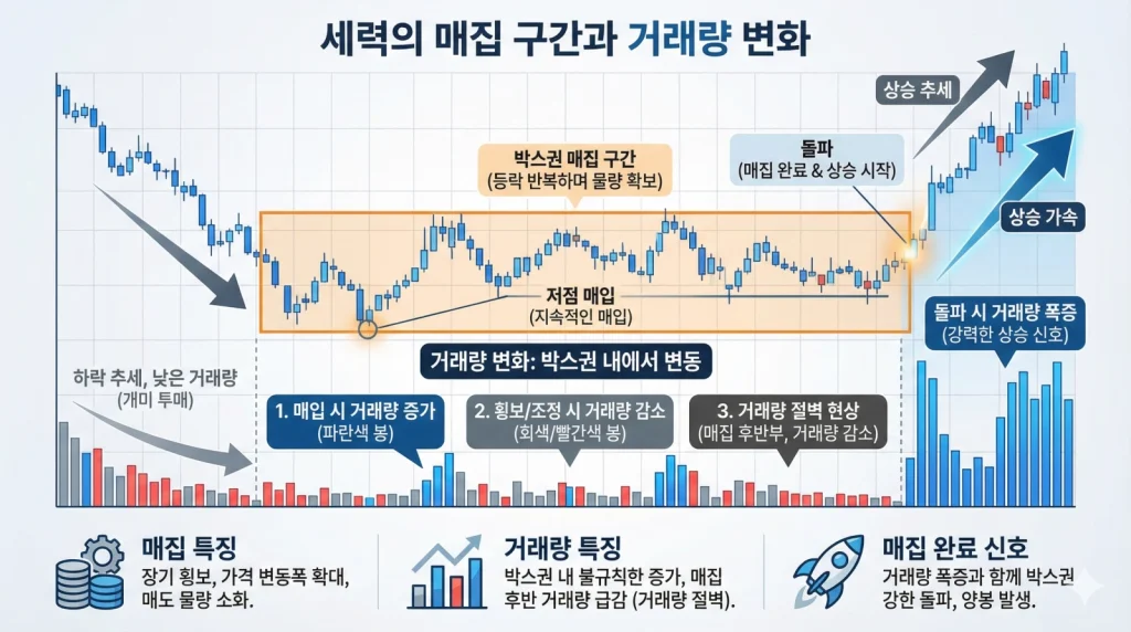 세력매집 1