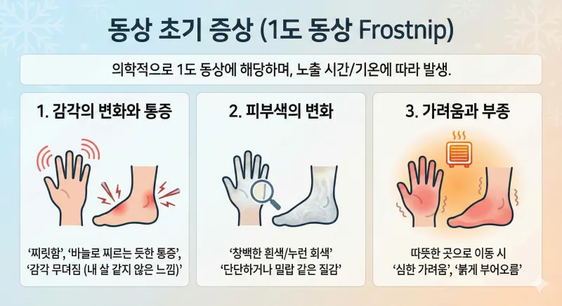 동상 초기 증상, 손가락 동상, 발가락 동상, 1도 동상, 동상 응급처치, 동창 동상 차이, 동상 치료법, 겨울철 피부관리, 손끝 감각 저하, 동상 물집